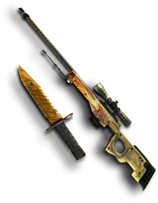 CS2 Skin Upgrader